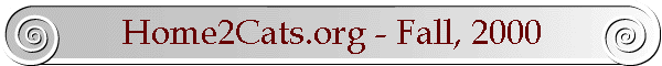 Home2Cats.org - Fall, 2000