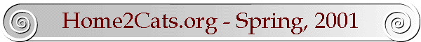Home2Cats.org - Spring, 2001