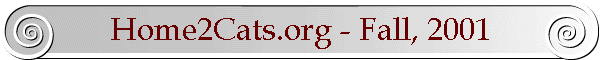 Home2Cats.org - Fall, 2001