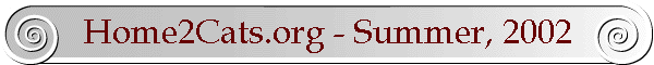 Home2Cats.org - Summer, 2002